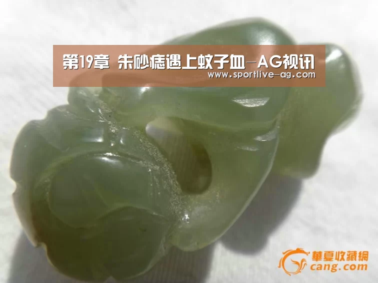 AG视讯