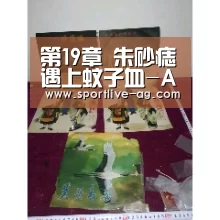 AG百家乐