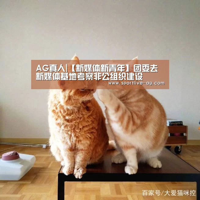 AG视讯