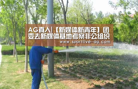 AG视讯