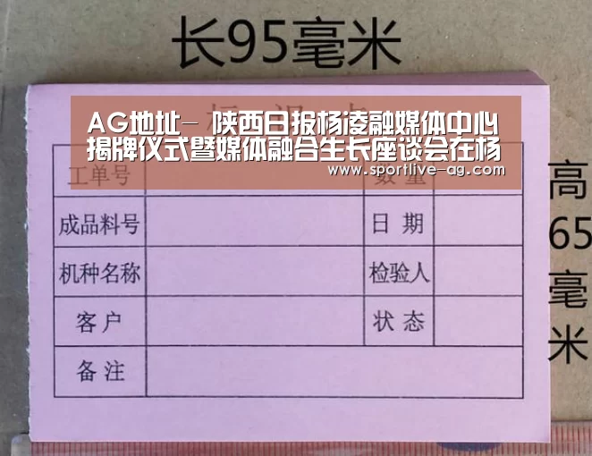 AG视讯